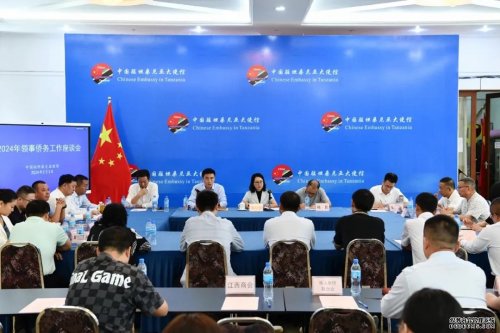 華遠衛(wèi)士參加駐坦桑尼亞使館2024年領(lǐng)事僑務工作座談會